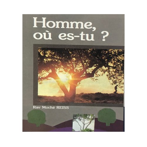Homme, où es-tu?