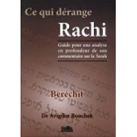 Ce qui dérange Rachi - Berechit