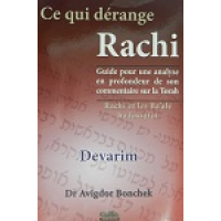 Ce qui dérange Rachi - Devarim