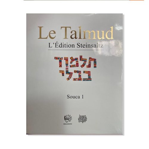 Talmud Steinsaltz - Sanhedrin 2