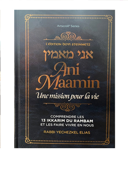 Ani Maamin - Une mission pour la vie