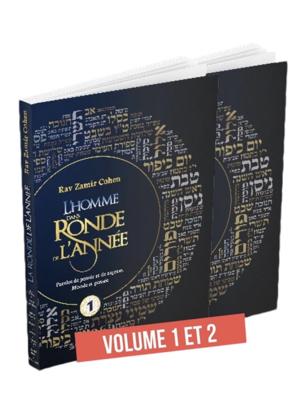 l-homme-dans-ronde-de-l-annee